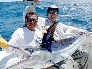 Cabo San Lucas Mexico Marlin Fly Fishing Photo 1