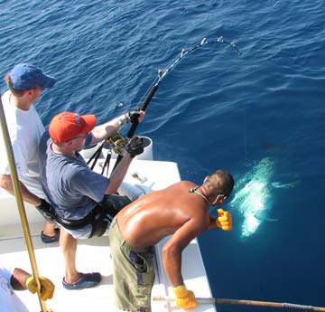 Puerto Vallarta Mexico Tuna Fishing Photo 3