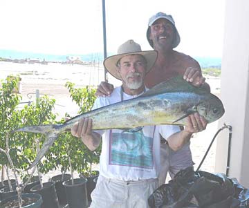 Mulege Mexico Dorado Photo 1