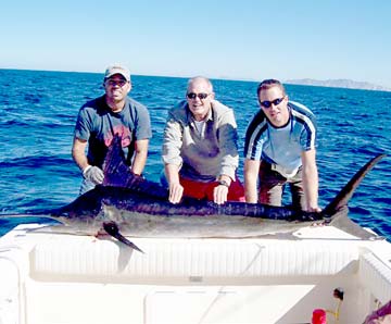 San Carlos Mexico Striped Marlin Fishing Photo 1