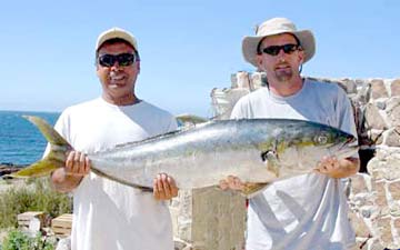 Bahia Asuncion Mexico Yellowtail Fishing Photo 1