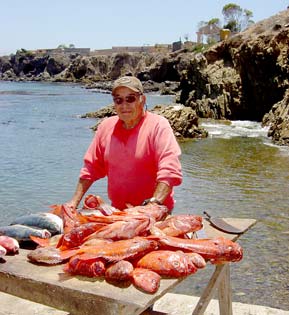 Puerto Santo Tomas Mexico Bottom Fishing Photo 1