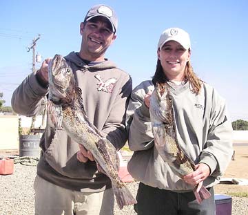 Ensenada Mexico Lingcod Fishing Photo 1