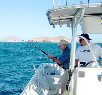 Bahia de los Angeles Mexico Yellowtail Fishing Photo 1