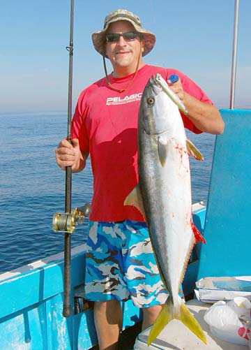 San Quintin Mexico Yellowtail Fishing Photo 1