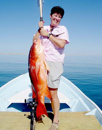 Magdalena Bay Mexico Snapper Fishing Photo 1