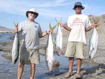 Baja Mexico Yellowtail Fishing Photo 1