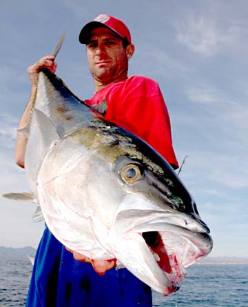 Santa Rosalia Mexico Yellowtail Fishing Photo 2