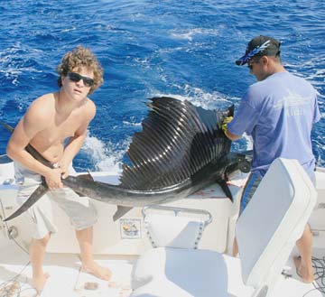 Puerto Vallarta Mexico Sailfish Photo 1