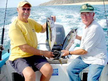 Los Cabos Mexico Tuna Fishing Photo 1