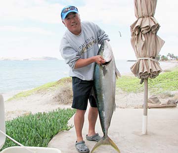 Santa Rosalia Mexico Yellowtail Photo 1