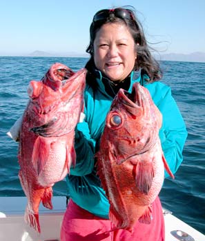 Ensenada Mexico Blackgill Rockfish Fishing Photo 2