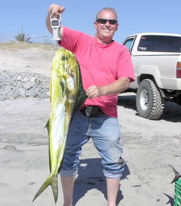 La Paz Mexico Dorado Fishing Photo 1