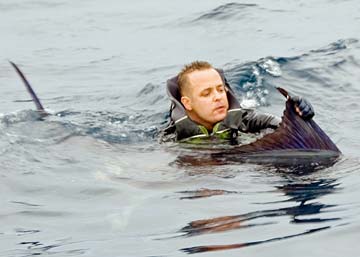 Cabo San Lucas Mexico Kayak Marlin Release Photo 1