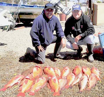 Ensenada Mexico Fishing Photo 1