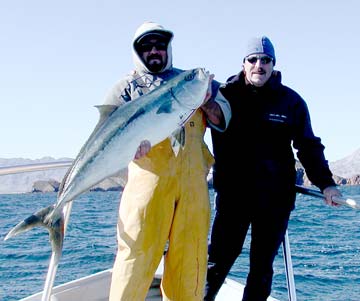 Bahia de los Angeles Mexico Yellowtail Fishing Photo 1