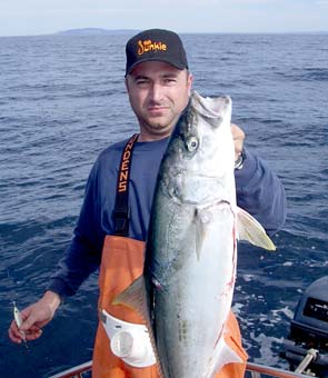 La Bocana Mexico Yellowtail Fishing Photo 2