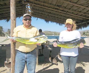 San Jose del Cabo Mexico Dorado Fishing Photo 1