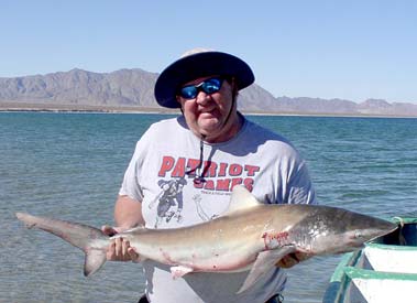 Sea of Cortez Mexico Blacktip Shark Fishing Photo 1