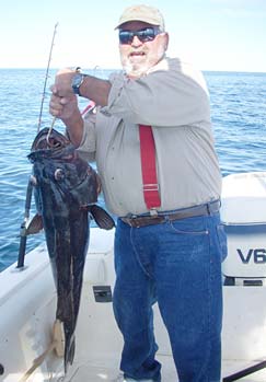 Rocky Point Mexico Sawtail Grouper Photo 1