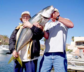 San Carlos Mexico Big Yellowtail Photo 1