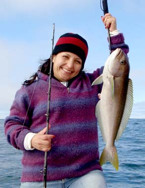 San Quintin Mexico Whitefish Photo 1