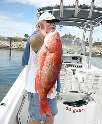 San Jose del Cabo Mexico Red Snapper Fishing Photo 1