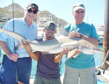 Cabo San Lucas Mexico Whitetip Shark Fishing Photo 1