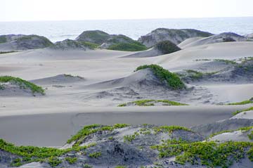 Magdalena Bay Mexico Barrier Island Photo 1