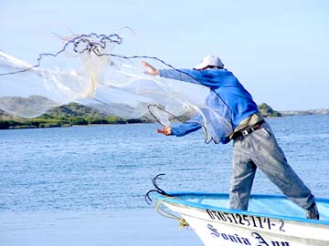 Magdalena Bay Mexico Fishing Photo 4