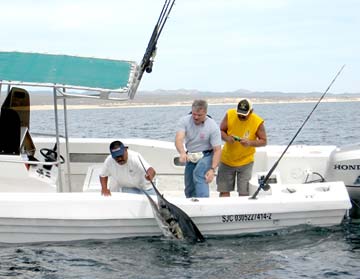 San Jose del Cabo Mexico Marlin Fishing Photo 1