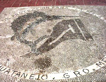 Zihuatanejo Mexico Fish Release Flag Mosaic Photo 1