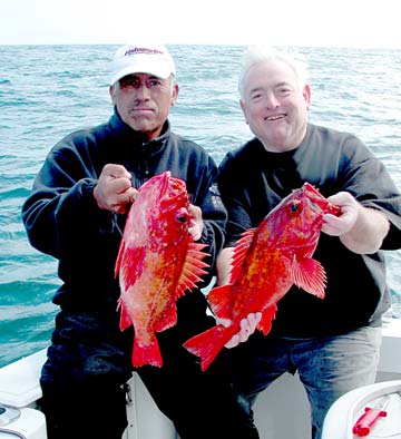 Ensenada Mexico Vermilion Rockfish Photo 1