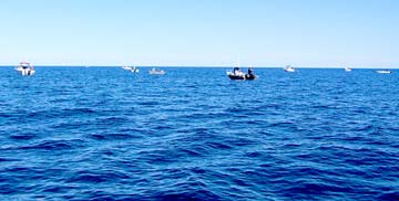 Santa Rosalia Mexico Small Boat Fishing Photo 1