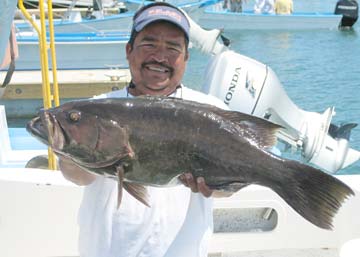 San Jose del Cabo Mexico Cabrilla Fishing Photo 1