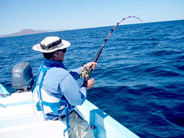 Loreto Mexico Yellowtail Fishing Photo 2