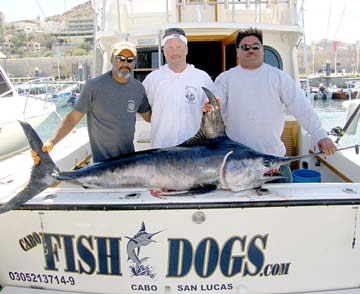 Cabo San Lucas Mexico Swordfish Photo 1