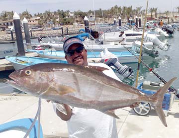 San Jose del Cabo Mexico Amberjack Fishing Photo 1