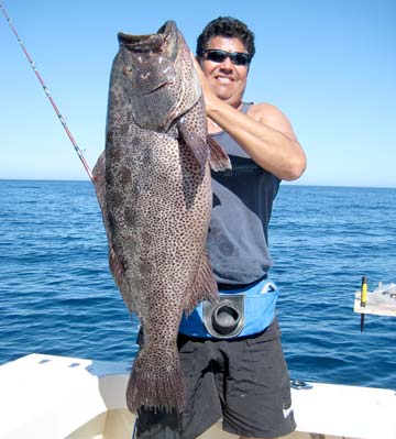 Isla Tortuga Mexico Sawtail Grouper Fishing Photo 1