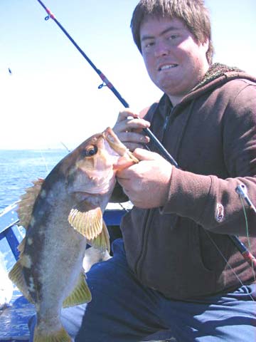 Ensenada Mexico Calico Bass Photo 1