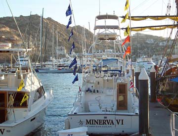 Cabo San Lucas Mexico Marina Photo 1