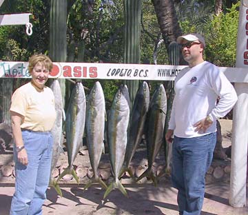 Loreto Mexico Yellowtail Fishing Photo 1