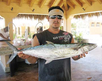 San Jose del Cabo Mexico Sierra Mackerel Photo