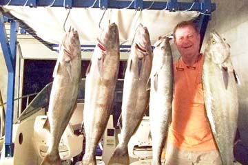 Rocky Point Mexico White Seabass Fishing Photo 1