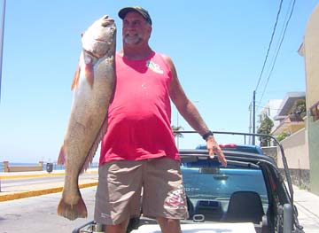 Mazatlan Mexico Corvina Float Tube Fishing Photo 1