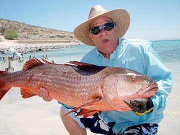 La Paz Mexico Mullet Snapper Fishing Photo 1