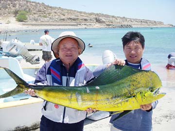 La Paz Mexico Dorado Fishing Photo 3