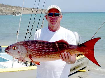 La Paz Mexico Pargo Lisa Fishing Photo 3