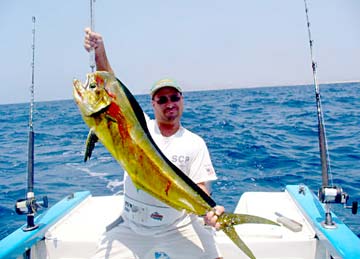 Cabo San Lucas Mexico Dorado Fishing Photo 1