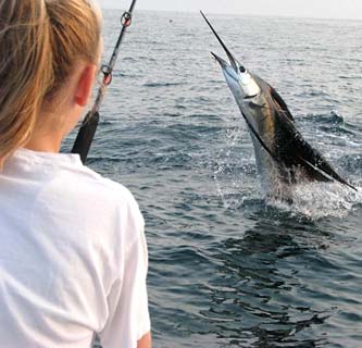 Ixtapa Mexico Jumping Sailfish Photo 4